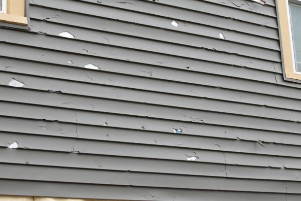 Best Siding Replacement  in USA